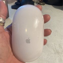 Wireless Bluetooth, Apple mouse model, a 10 15