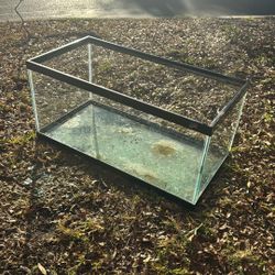 Fish Tank