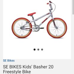 Basher 20 Freestyle Bike 