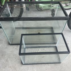Fish Tanks