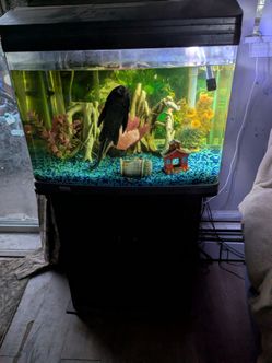Aquarium 22-24 gallons