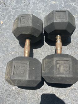 75lbs Dumbbells Weights