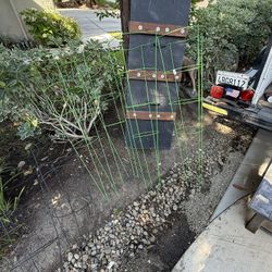 Tomato Cages
