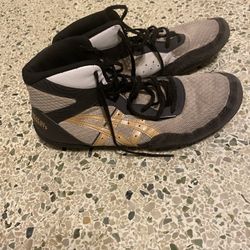 Wrestling Shoes