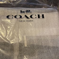 Coach Leather Bag