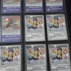 Digimon TCG Folder  Various cards