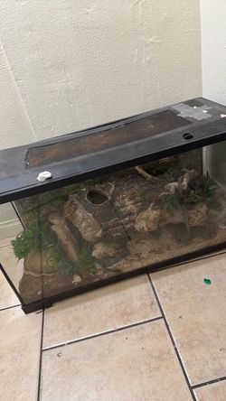Reptile tank