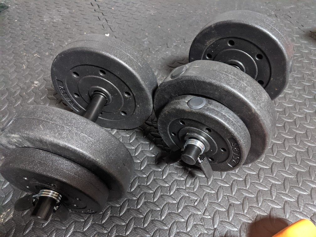 20 lb adjustable dumbbell pair