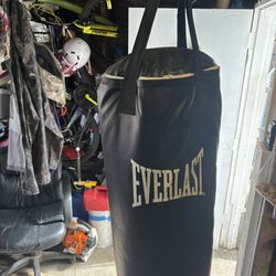 EVERLAST Punching Bag 