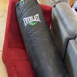 Everlast Punching Bag 