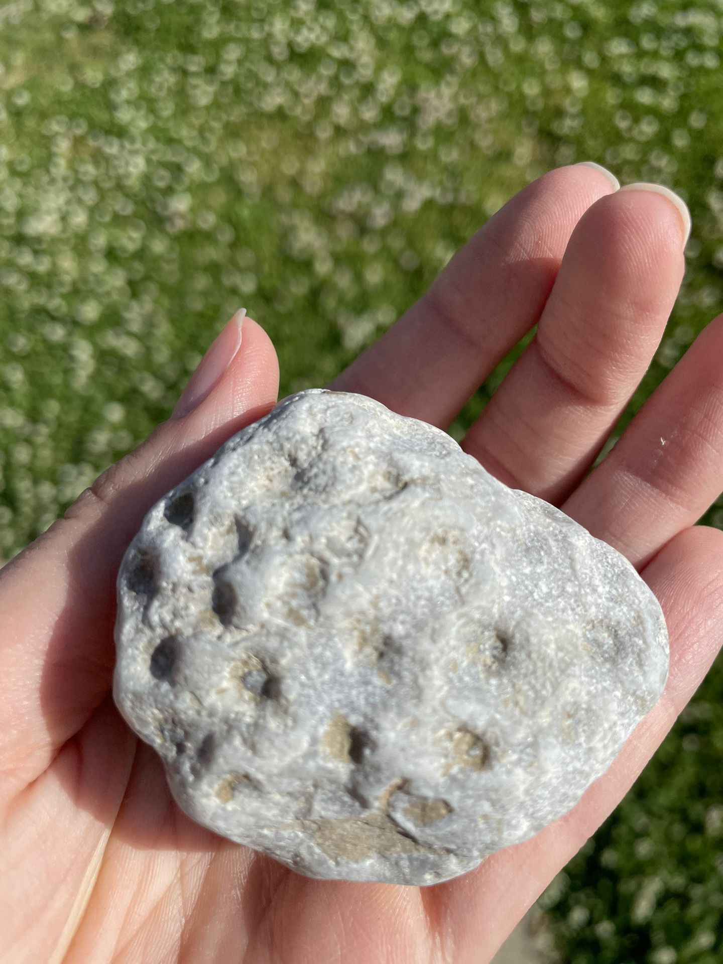 Unpolished Petoskey stone