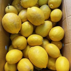 Fresh Lemons