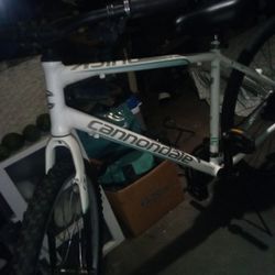 Cannondale Mountain Bike