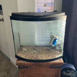 Medium Fish Tank 