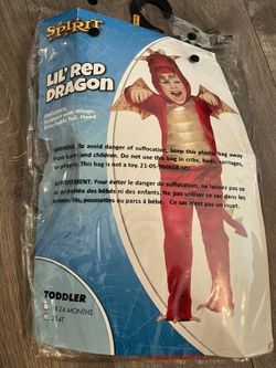 Costume Dragon 