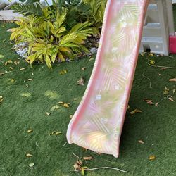 Custom Painted Slide