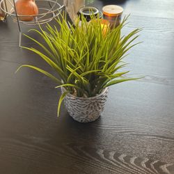 Fake Decorative Plant