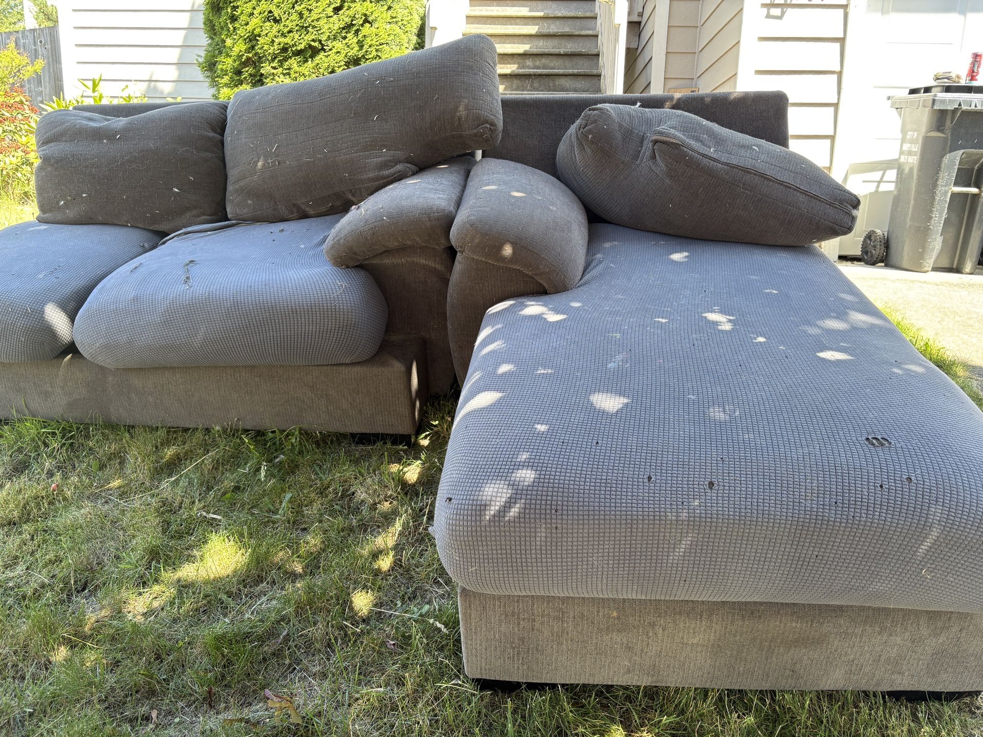 Free Couch ~4’x5’