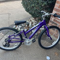 Girls Scwinn Bike