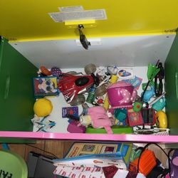 Dora Toy Box 