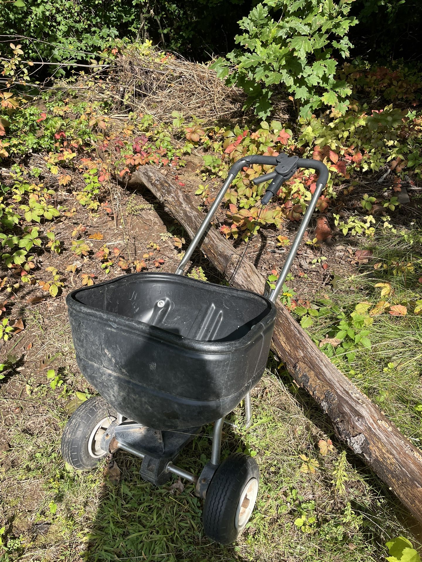 Seed Spreader And Feeder
