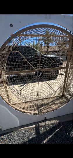 Go Pet exercise dog wheel