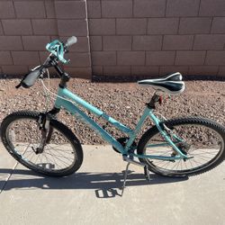 Trek Skye MTB 19 Inch (L)