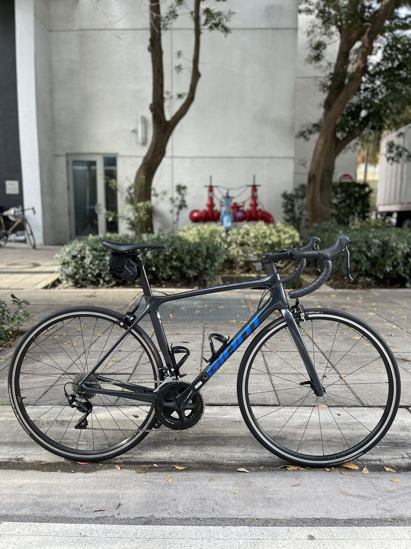 Giant TCR Advanced 2 - USED Have All Sizes