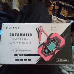 E-fast Automatic Battery Charger