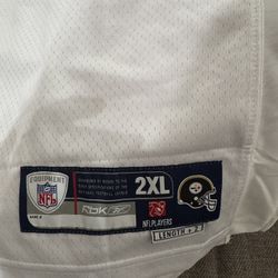 Troy Polamalu Jersey 