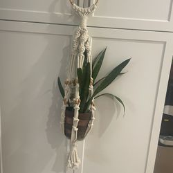 Colgante para Plantas