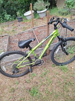 24 inch Nishiki bike