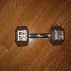20 Pounds Dumbbell 