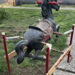 VINTAGE BLACK BEAUTY 