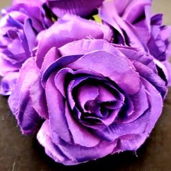 Purple / Amethyst Roses 