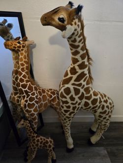 Giant Giraffes