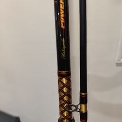 Shakespeare Bigwater 14' Powerod  