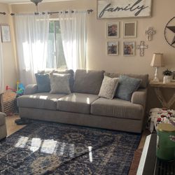 Light Grey Couches 
