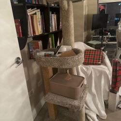 Cat Tree