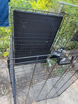 Large dog kennel