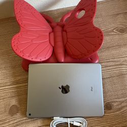 Apple iPad Air 2 32GB with Kids Case And Cable 