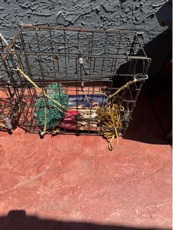 Fishing trap do fish crab crawdads