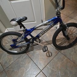 20-inch Bike 