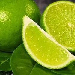 Grafted Dwarf Mexican Lime Trees 😃🌿🌿🌿