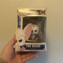 Pinky and the brain pop head