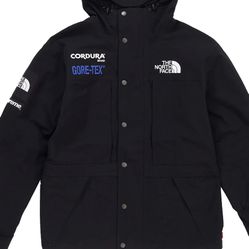 Supreme The North Face Expedition (fw18) Jacket 
