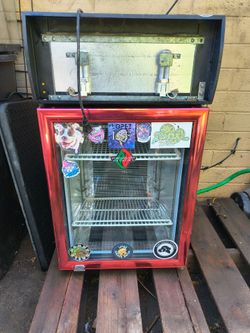 Mini fridge reptile incubator