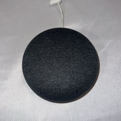 Google Nest Mini