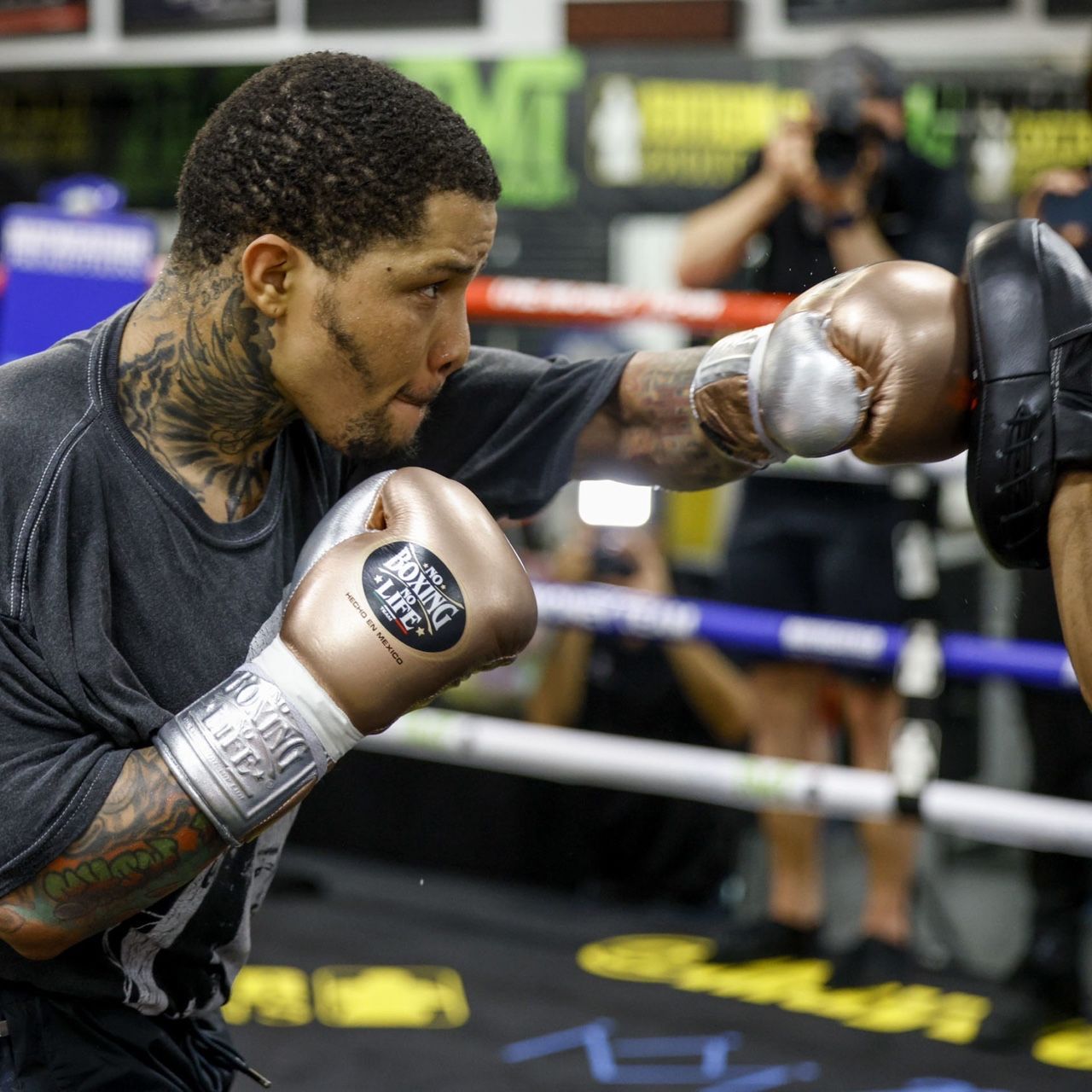 Gervonta Davis Boxing Gloves Oz informacionpublica.svet.gob.gt