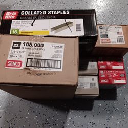 Staples Lot New